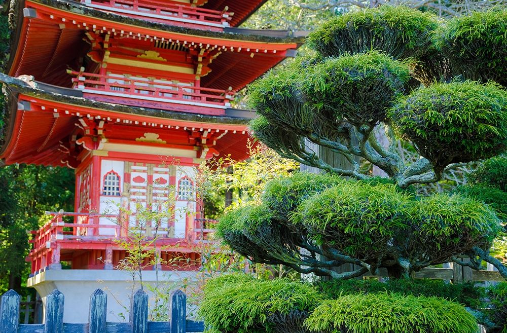 Pagoda-Japanese Tea Garden-Golden Gate Park-San Francisco-California-USA